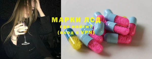 прущие грибы Баксан