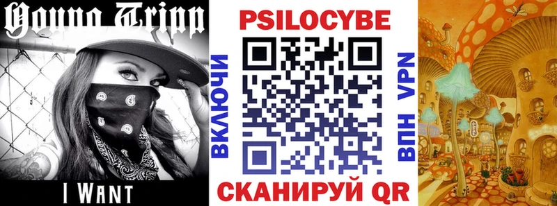 Псилоцибиновые грибы Psilocybine cubensis  маркетплейс Telegram  Буйнакск 